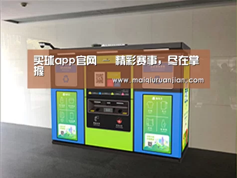 成功案例标题四
