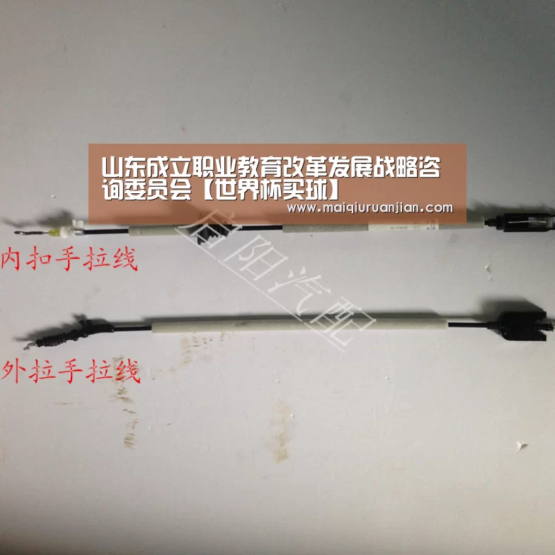 山东成立职业教育改革发展战略咨询委员会【世界杯买球】(图4) 手机买球官网