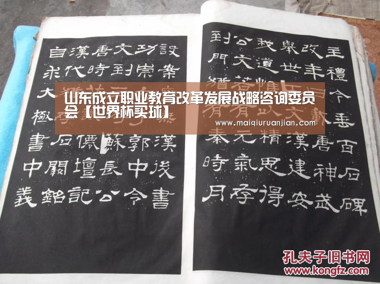 山东成立职业教育改革发展战略咨询委员会【世界杯买球】(图2) 手机买球官网
