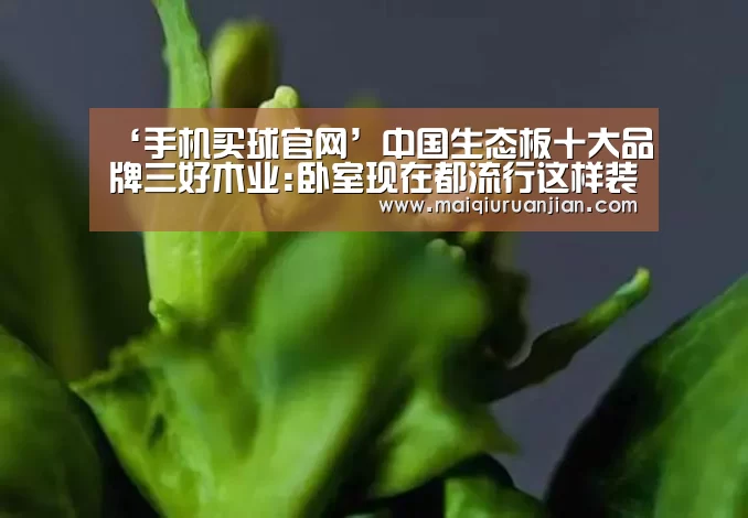 手机买球官网
