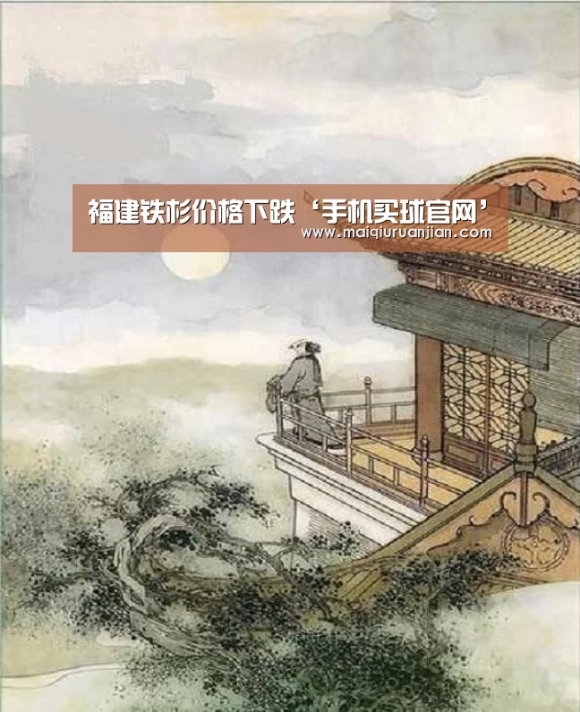 福建铁杉价格下跌‘手机买球官网’(图3) 手机买球官网