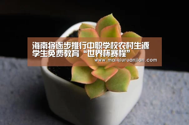手机买球官网