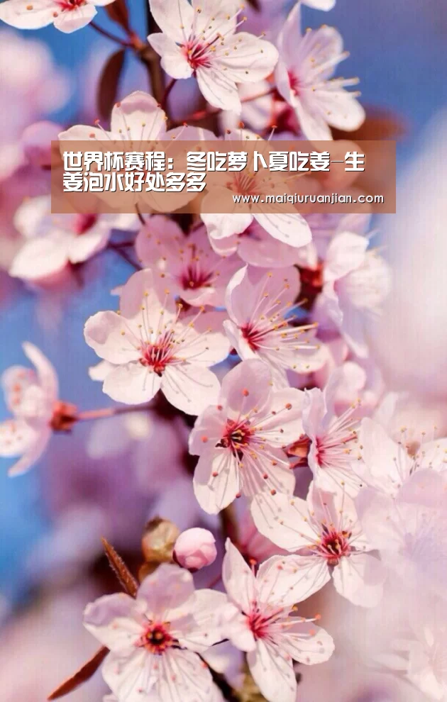 世界杯赛程:冬吃萝卜夏吃姜-生姜泡水好处多多(图1) 世界杯买球