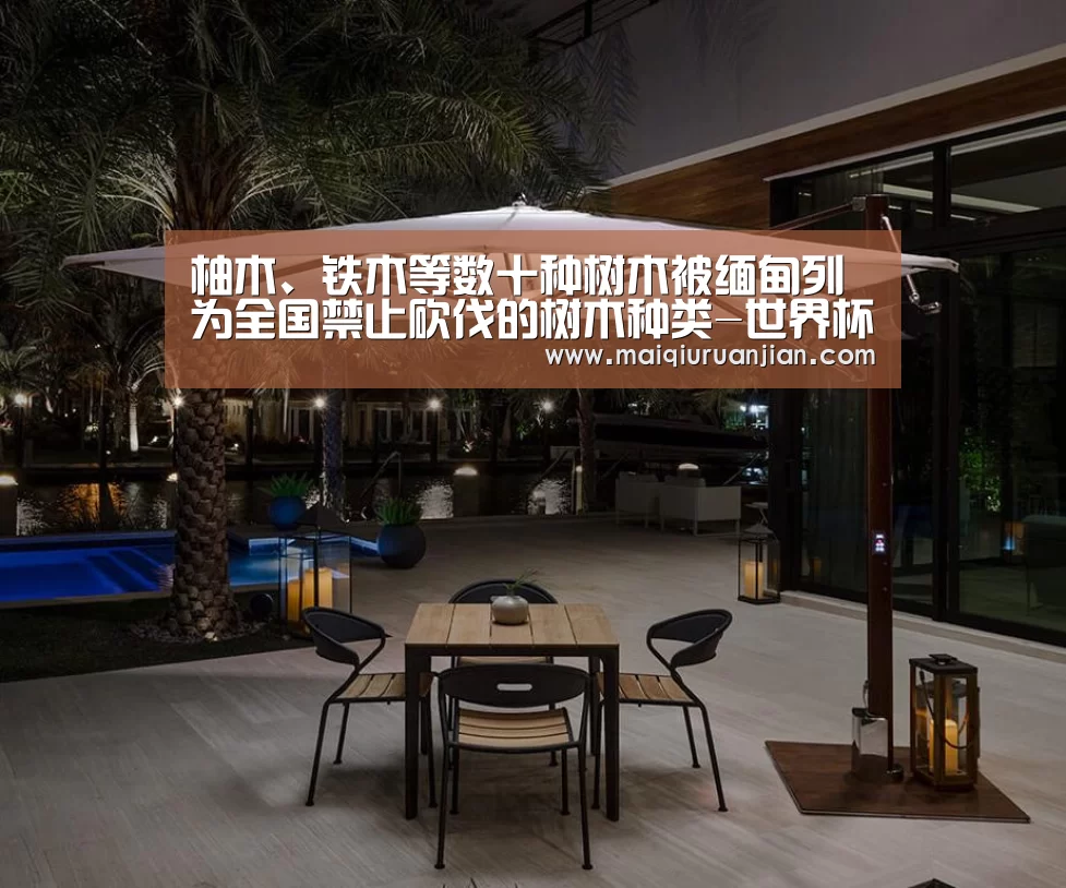 柚木、铁木等数十种树木被缅甸列为全国禁止砍伐的树木种类-世界杯赛程(图4) 手机买球官网