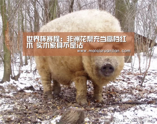 世界杯赛程:非洲花梨充当高档红木 实木家具不是沾(图1) 手机买球官网