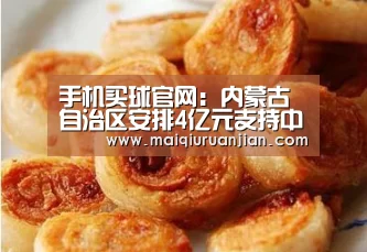 手机买球官网