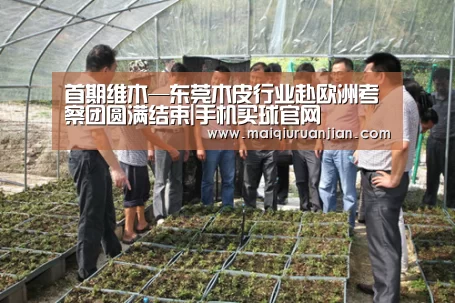 首期维木—东莞木皮行业赴欧洲考察团圆满结束|手机买球官网(图1) 世界杯赛程