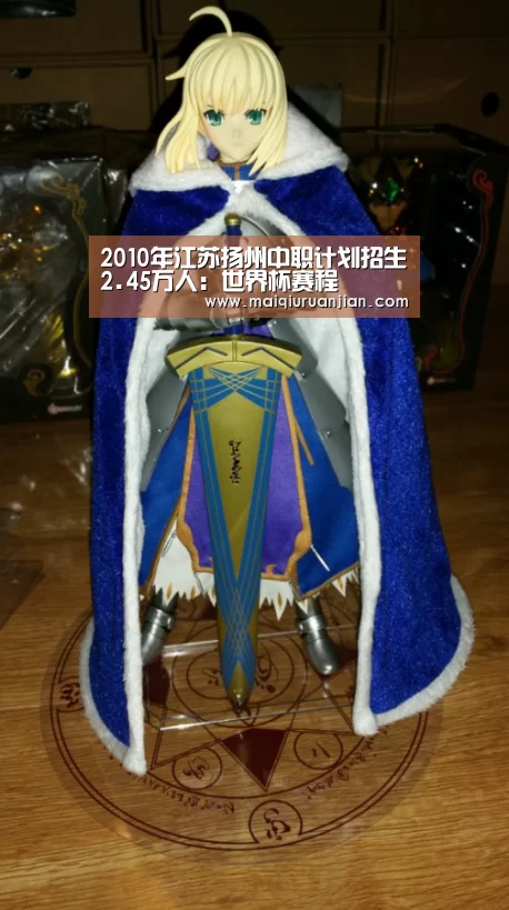 2010年江苏扬州中职计划招生2.45万人:世界杯赛程(图1) 世界杯赛程