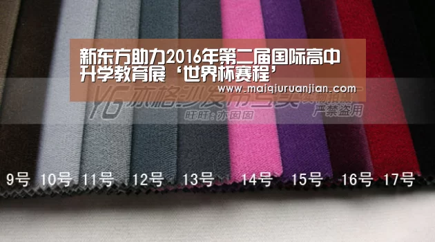 新东方助力2016年第二届国际高中升学教育展‘世界杯赛程’(图2) 世界杯买球