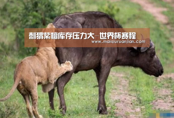 世界杯赛程