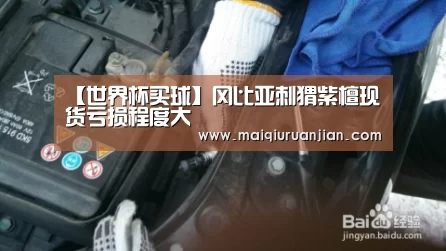 【世界杯买球】冈比亚刺猬紫檀现货亏损程度大(图3) 世界杯买球