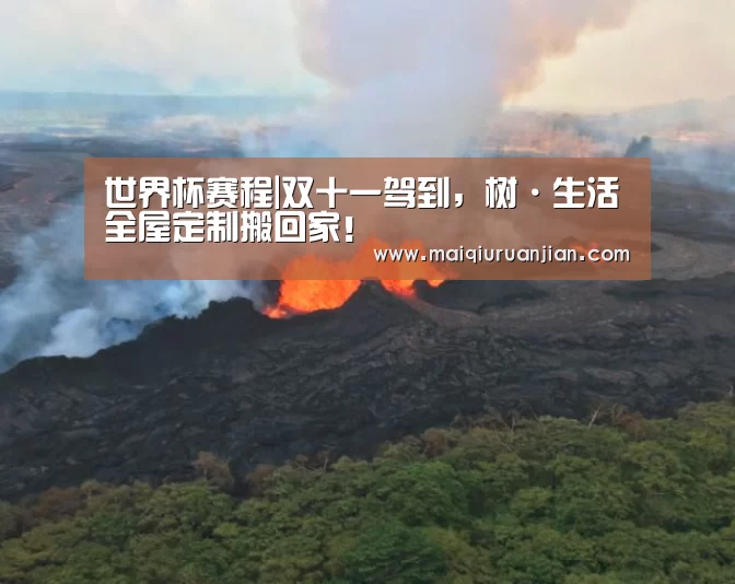 手机买球官网